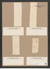 Pleurosigma speciorum W.Sm. (de-Toni-Nr.: Genus 13, Species 1007) Zeichnungen Sammlung Grunow Nr. 2048 (NHMW-BOT-W0368905)